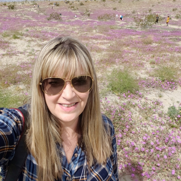 Live Show Listing - Picture 14 of 15